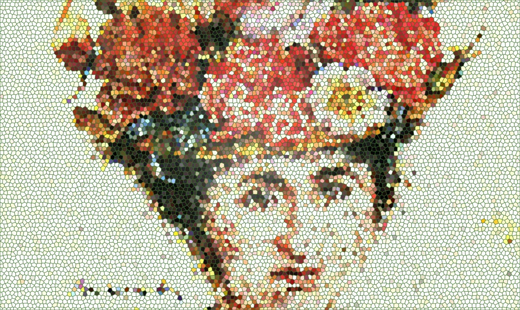 Rosa Luxemburg Rosa Luxemburg Stiftung