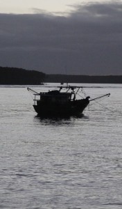 Pescadores artesanais reclamam da expansão dos poços de petróleo