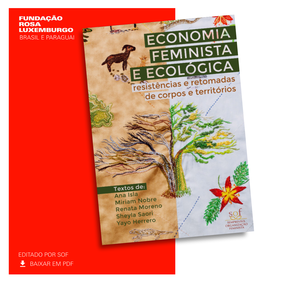 Economia feminista e ecológica: resistências e retomadas de corpos e territórios