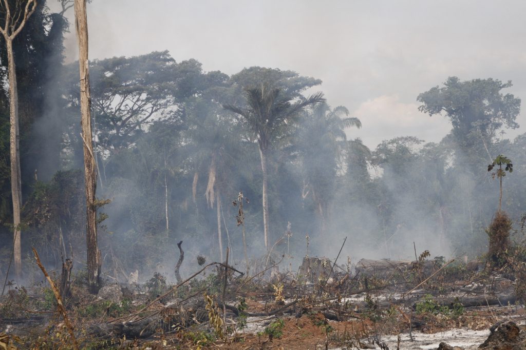 Região vendida como novo "polo sustentável" na gestão Bolsonaro é campeã de desmatamento e conflitos (foto: Verena Glass)