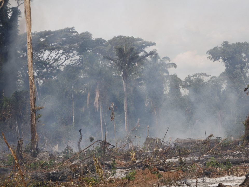 Região vendida como novo "polo sustentável" na gestão Bolsonaro é campeã de desmatamento e conflitos (foto: Verena Glass)