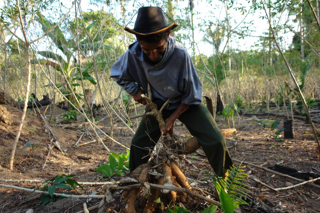 Pequeno Agricultor na Volta Grande do Xingu, PA: falta incentivo para produção - Foto: Verena Glass