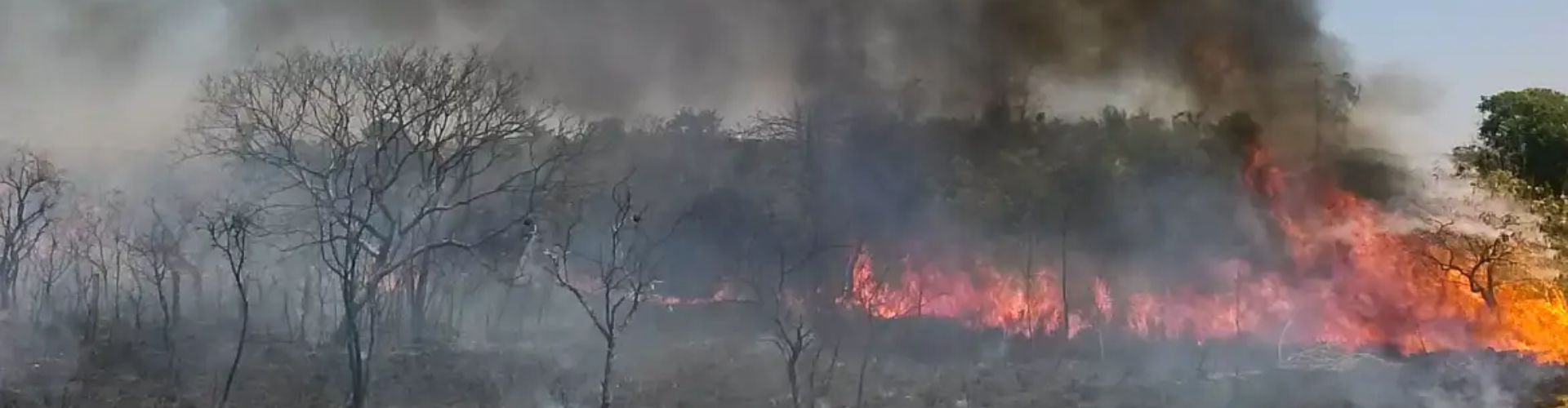 Queimadas - José Cruz/EBC